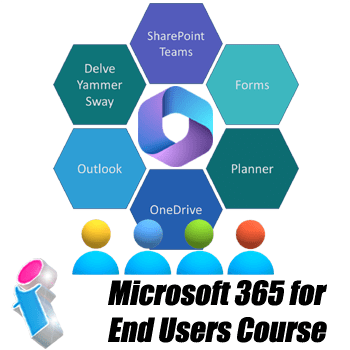 Office 365 training on sale